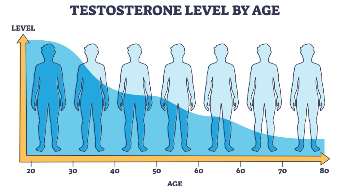 Testosterone graph by age in Men